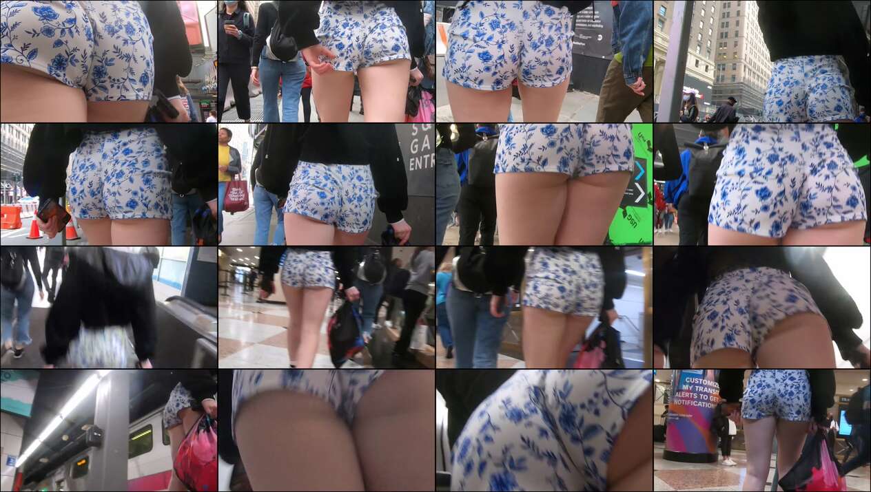 blue and white shorts jiggly